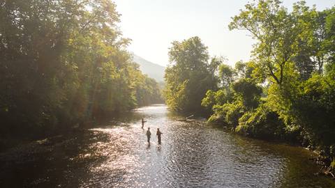 A group of three adults fishing in a river in Vermont