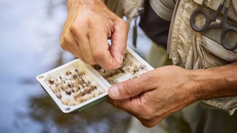 a fisherman's box filled with various fly's for fly fishing