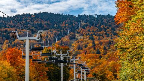 Fall Foliage Events and Activities at Stratton Mountain Resort