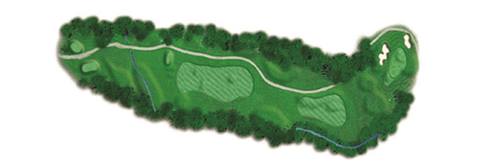 Forest 8