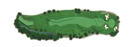 Forest 8
