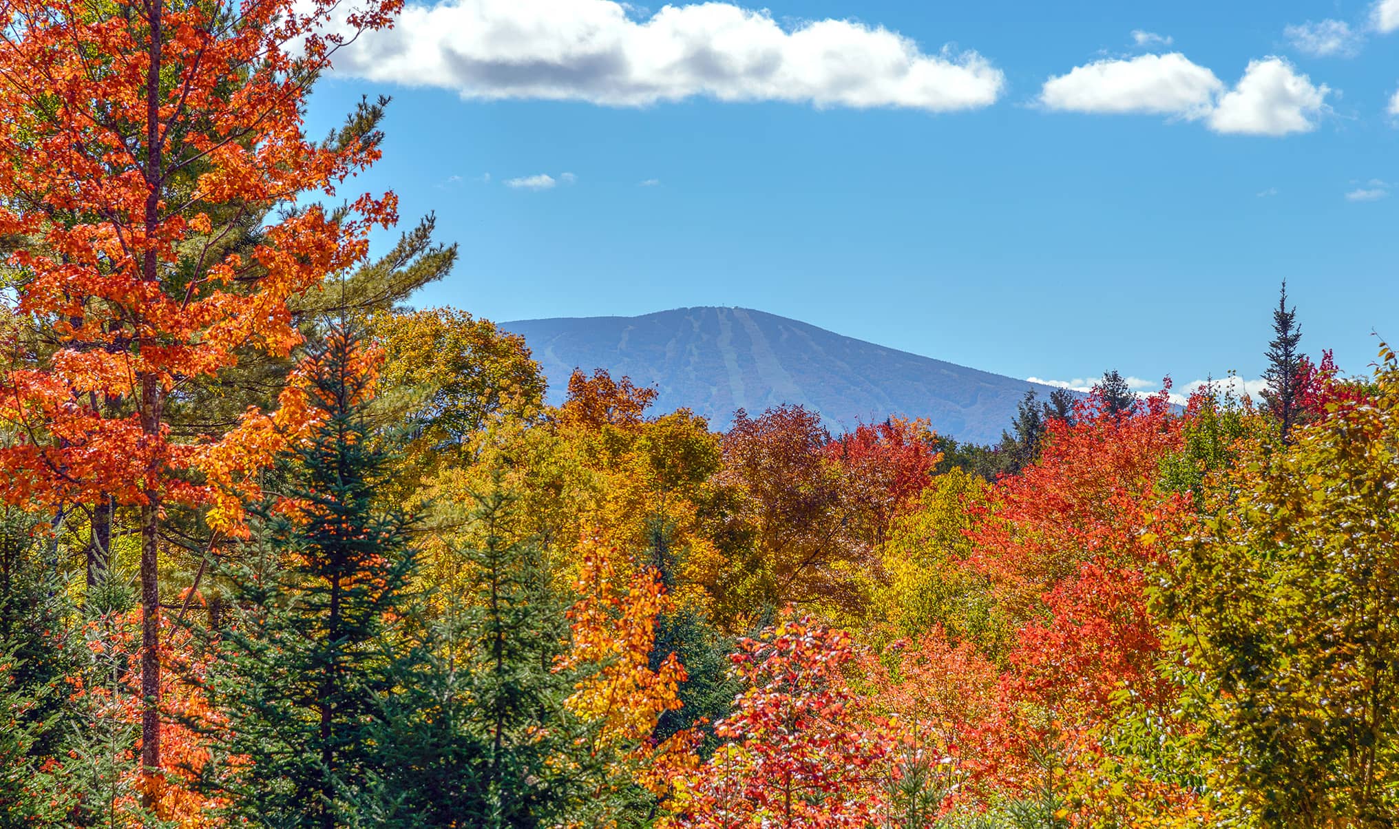Stratton Mountain Resort in Vermont Best Ski Resort Near NYC