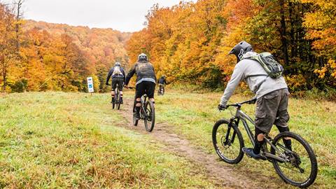 Stratton Bike Park Tickets
