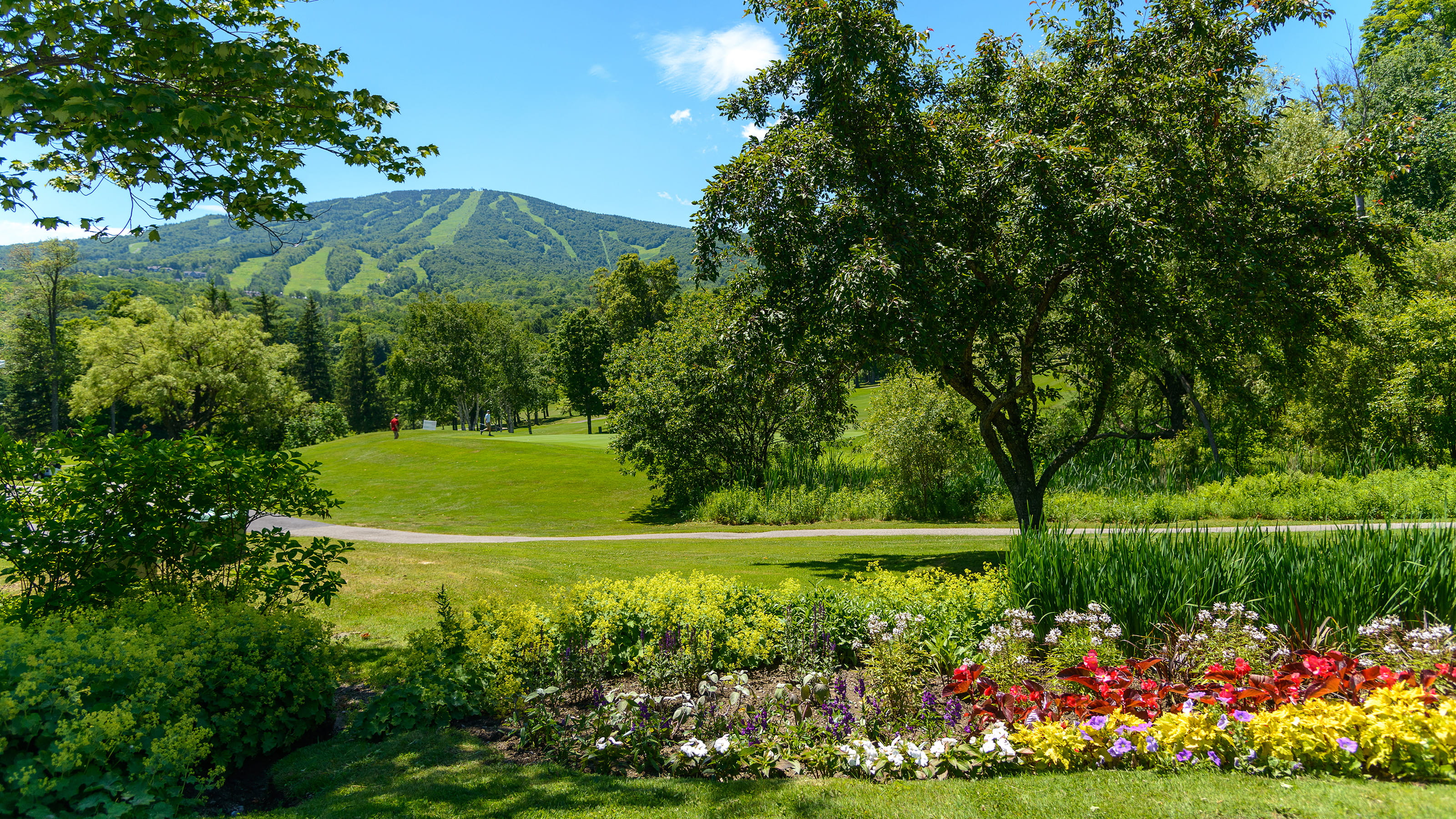 Discover Vermont Golf & Golf Packages Stratton Golf