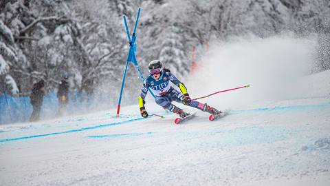 Stratton Mountain School