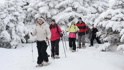 Snowshoe Rentals at Stratton Mountain