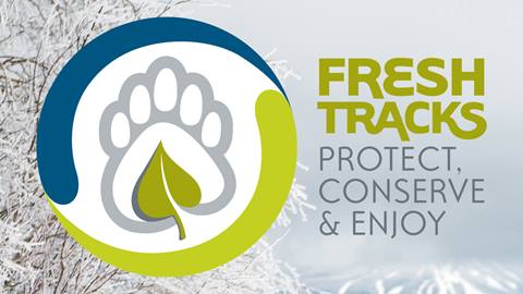 Stratton Fresh Tracks