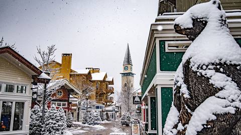Shopping and Restaurants in the Stratton Village