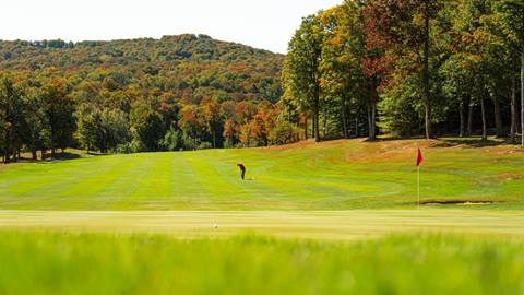 Tour the Course