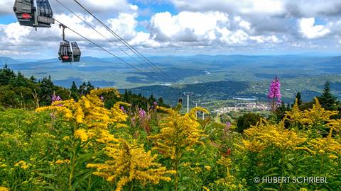 Gondola Rides - Soar to the summit
