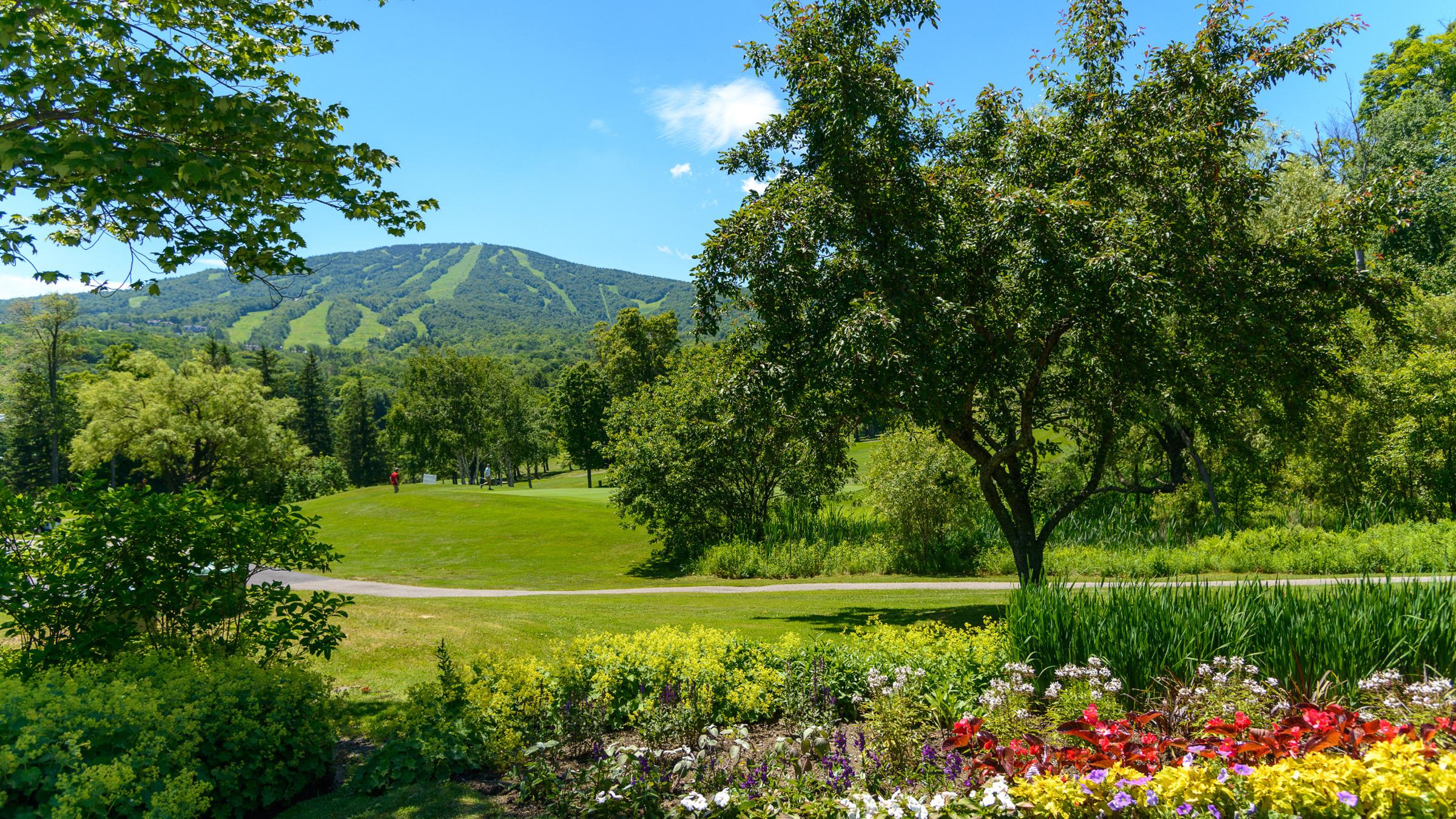 Group Golf Outings Stratton Mountain Resort
