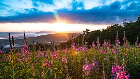 Stratton Lodging -Enjoy home-away-from-home accommodations