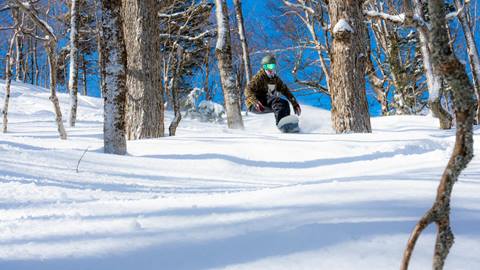Mountain Riders at Stratton