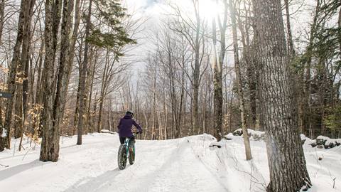  FAT BIKE RENTALS