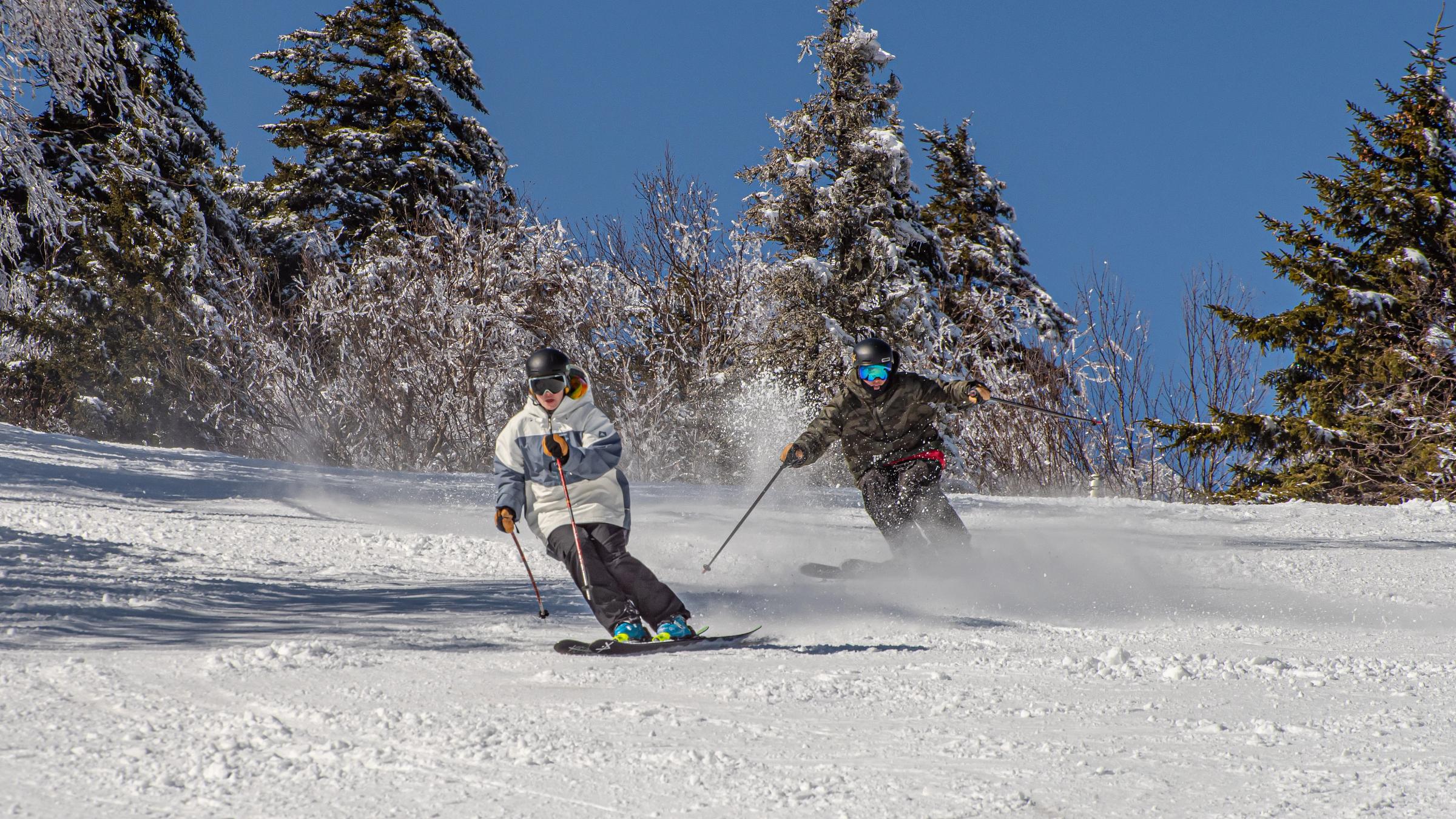 Passholder Appreciation Week Stratton Mountain Vermont