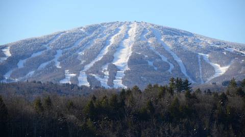 Blue Bird Day at Stratton