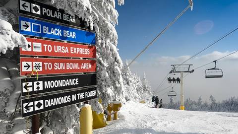 Stratton Mountain Trail Signs