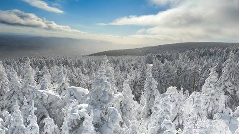 Conditions at Stratton