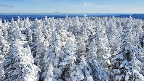 Mountain Improvements on Stratton